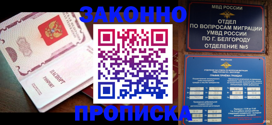 временная регистрация для школы в Кольчугино